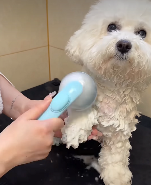 Suds Up™ Bath Brushfor Dogs & Cats