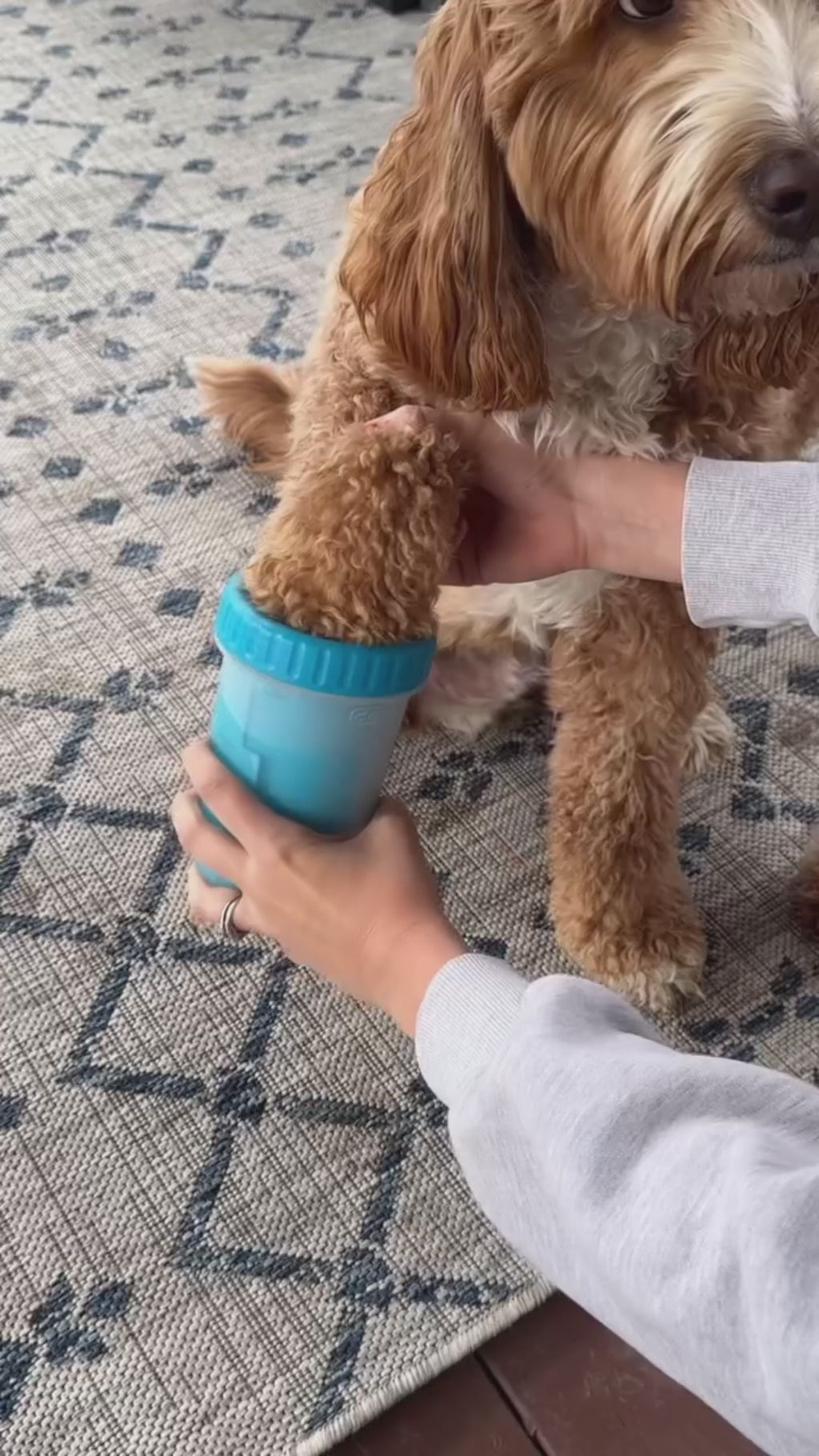 Paw Rinse™ Cleaning Cup