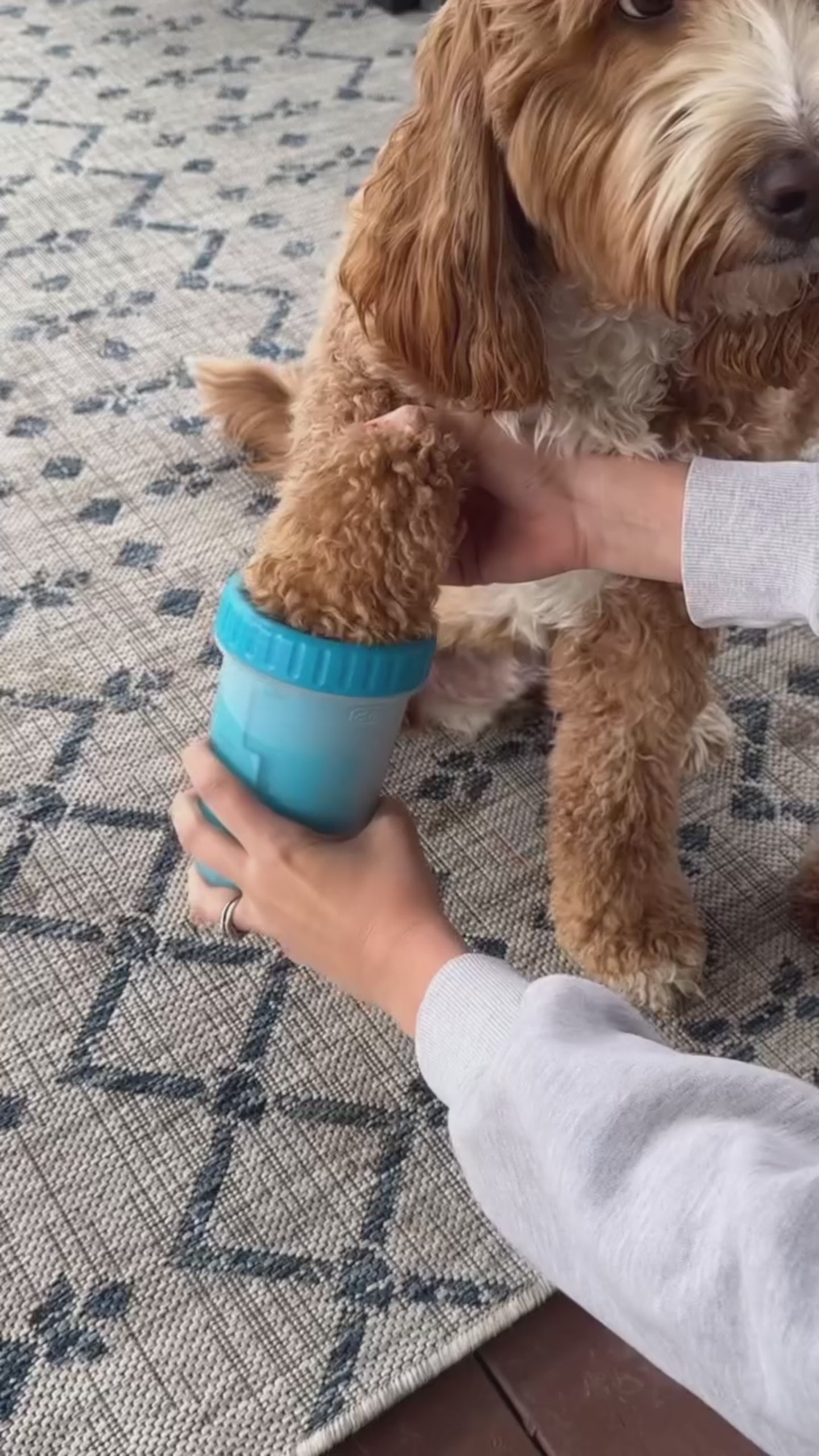 Paw Rinse™ Cleaning Cup