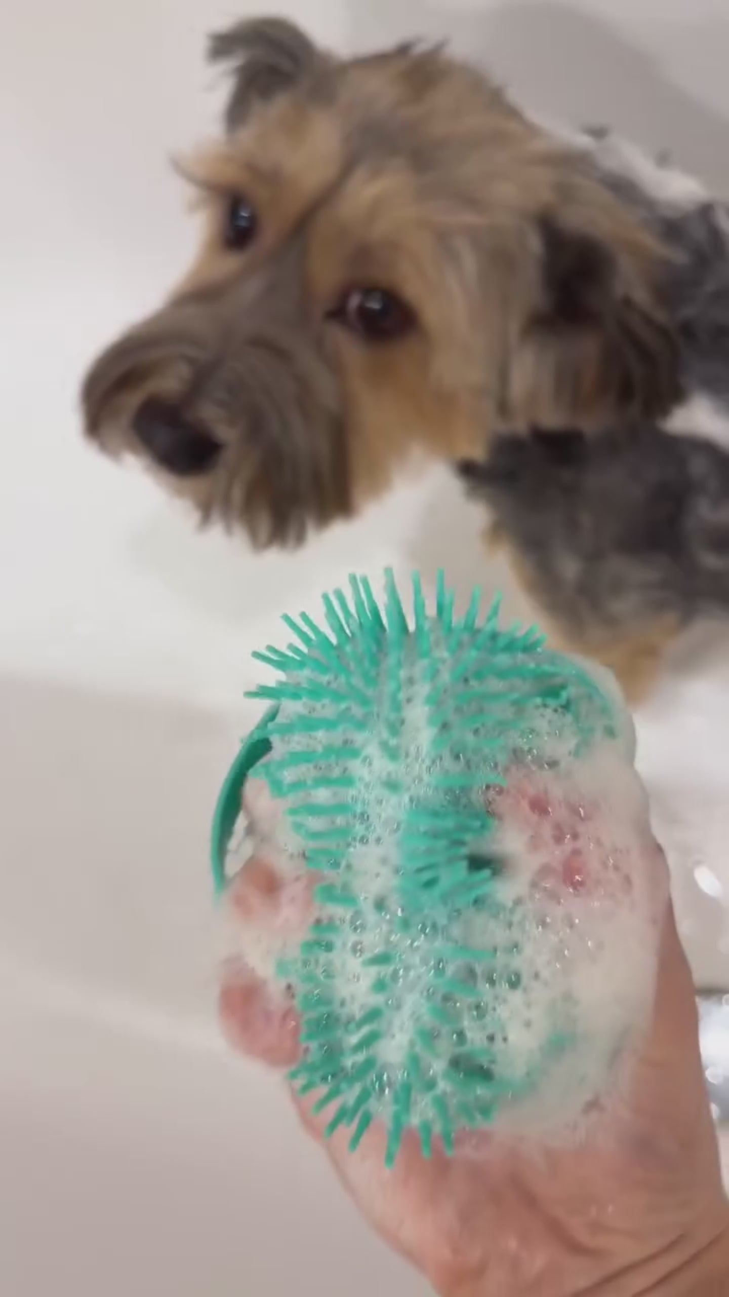 Suds Up™ Scrub Glove
