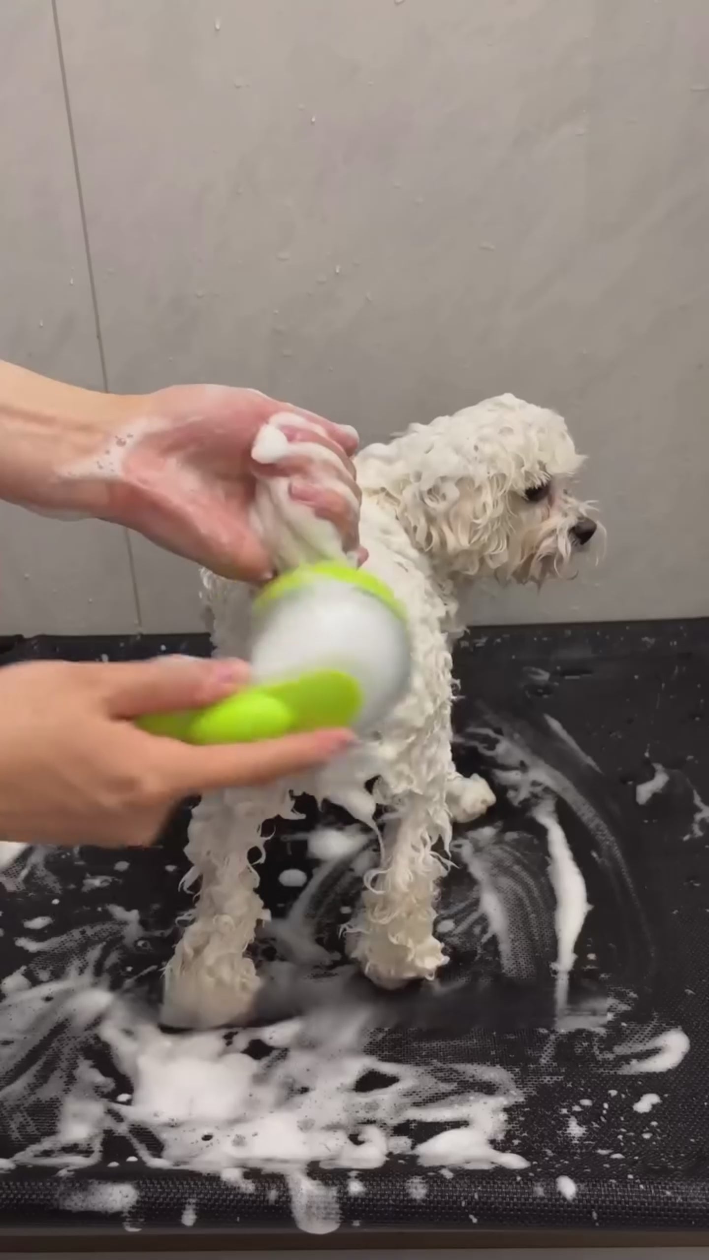 Suds Up™ Bath Brush